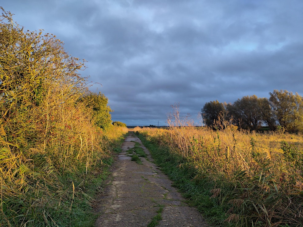 Online Talk: Storytelling in the Fens