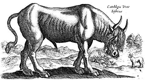 Beastly Beasts: Hybrids in Folklore and Fantasy